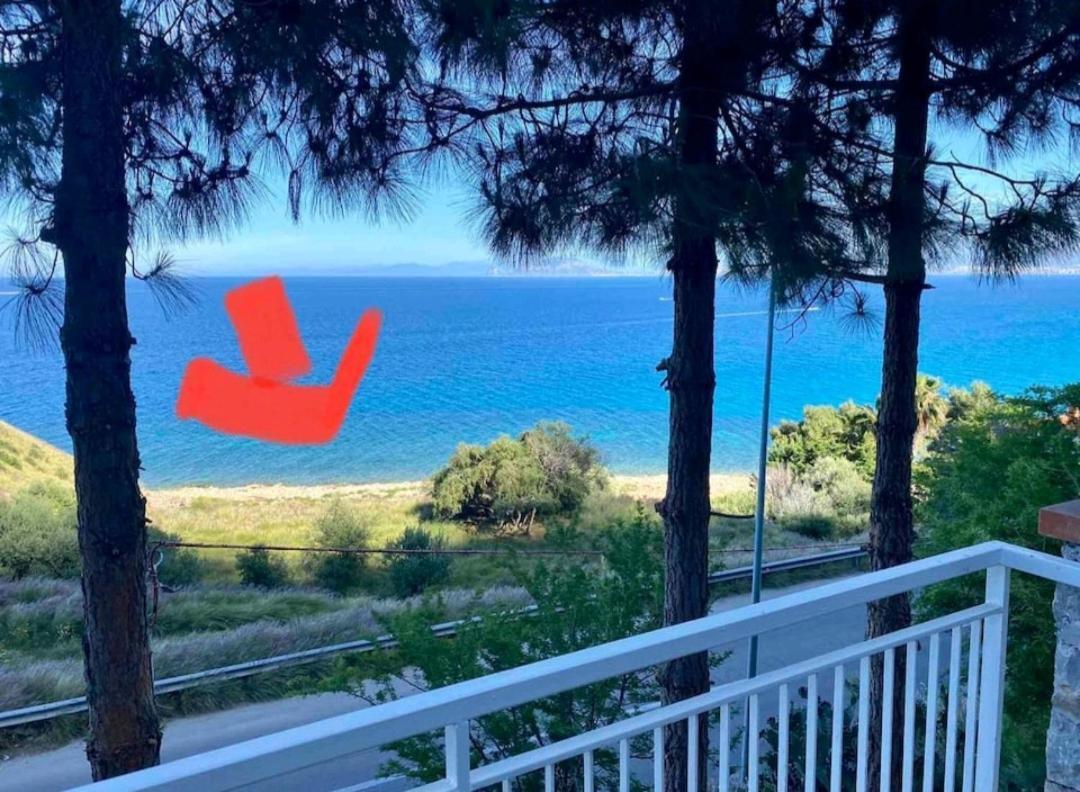 Villa'S Apartment On The Beach, Swimming Pool A/C 팔레르모 외부 사진